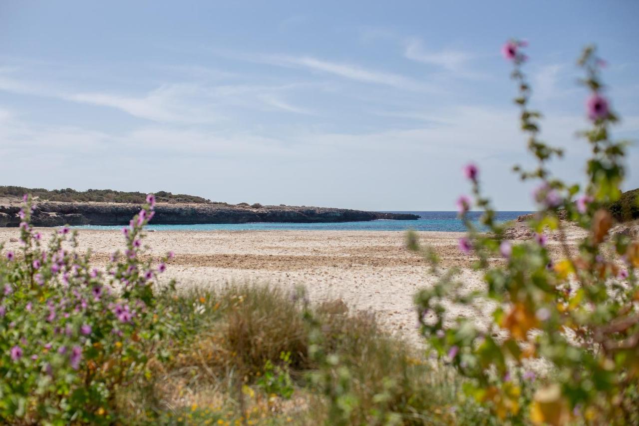 Bonito Apto En Calan Bosch A9 Cala en Bosch Dış mekan fotoğraf